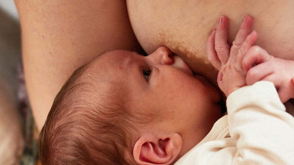 Lactancia: una protección que va más allá del vínculo