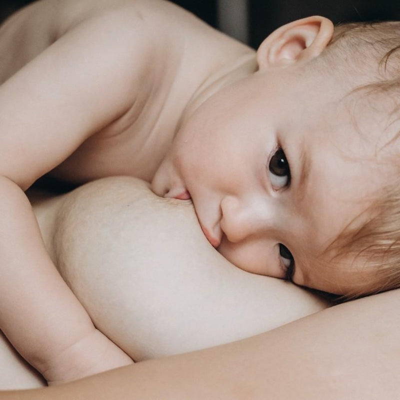 SUPLEMENTO DE APOYO A LA LACTANCIA - WEAREMAMMAS